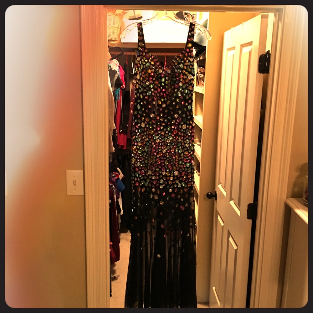 Panoply Mardi Gras/Ball Gown NWOT